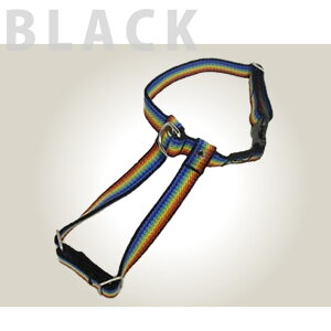  n[lX ASHU C{[ ^ STCY ȒP Cς̃C{[J[Iyn[lX EFAn[lX  EFA n[lX ` gCv[h pO n[lX ̃n