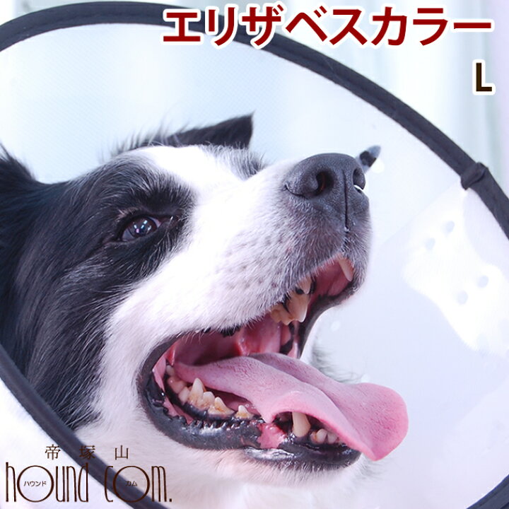 楽天市場 エリザベスカラー ベットカラー Lサイズ 帝塚山ハウンドカム 手術後 犬用 傷をガード 傷口の舐め 防止 愛犬手作りご飯 ハウンドカム食堂