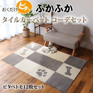 ӂӂ ^CJ[ybg s^yg 45×45cm 12R[fZbg  ^C}bg ybgp}bg@L t[O p Lp Ȃ J[ybg 􂦂 |@łȂ