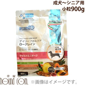 yN[|zzzFORZA10bfC[tHc@ [OC ~j|[Nij 900g@(tHc@fBG`) ^@^ hbNt[h p@dog hCt[h