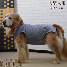 楽天市場 術後 大型犬の通販
