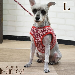 yN[|zzzASHUEFAn[lX  LTCY(^p) |  n[lX [h q V ^ xXg^n[lX ȒP 킢 ͗l Č ViEU[ _bNX V[Y[