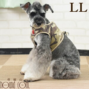  n[lX ASHUEFAn[lX  LL ^ ^  q VɂDzEGAn[lX ViEU[pn[lXy[h͕ʔzyn[lX hbO Č R[M[ 