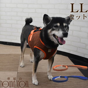 yN[|zzzASHUEFAn[lX [hZbg LLTCY(^p) n[lX [h Zbg EFA^n[lX ^ q V ^ xXg^n[lX  ȒP 킢 m 