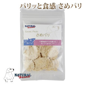 yP2{N[|zzzp | i`n[xXg b߃p