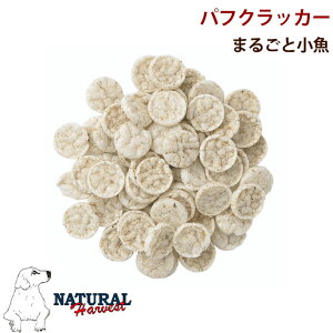 yN[|zzzi`n[xXg ptNbJ[܂邲Ə J[ tBbV Ⴑ  hbOt[h Ck ybgt[h GT ybg hbNt[h t[h p 