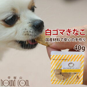 Y S}ȂNbL[yYESESEpg[cEVRfށEpNbL[E5500~ȏőzJ[ ӂ肩̂ Y hbO W