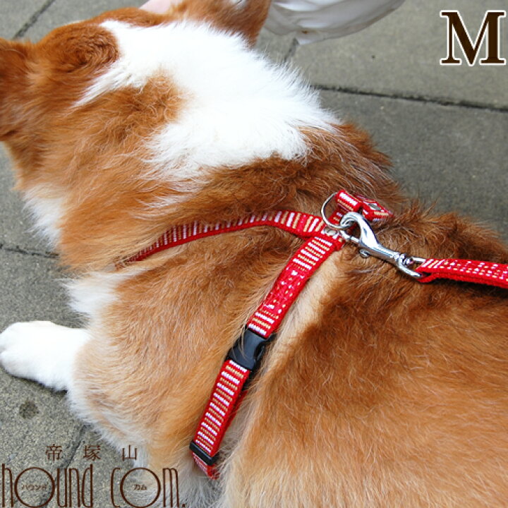 楽天市場 ハーネス Ashu ステップハーネスm 中型犬 ペット 胴輪 ナイロン 布製 柴犬 コーギー ボーダーコリー リード あす楽対応 近畿 犬用リード 犬ハーネス フレンチブルドッグ 犬のハーネス ハーネス犬 フレブル 犬用 犬用品 散歩 犬のかわいいリード 愛犬