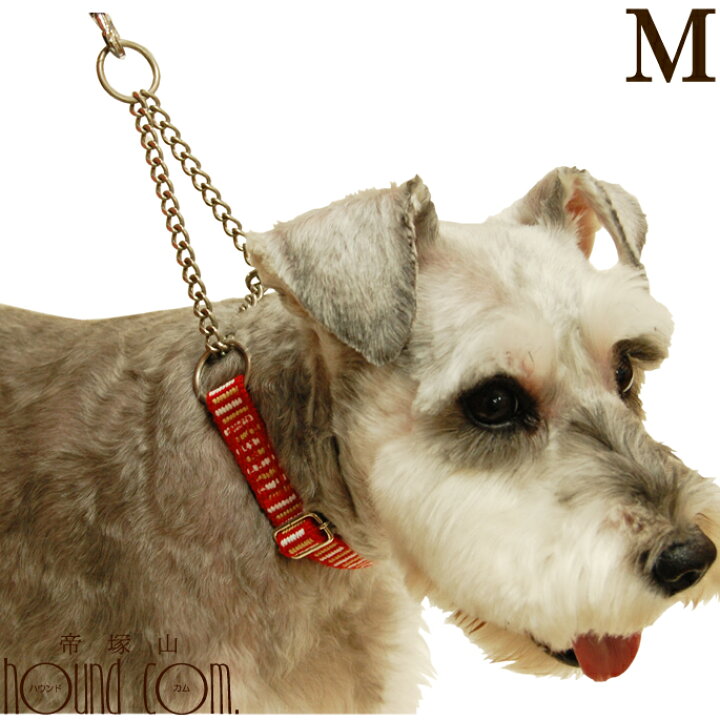 楽天市場 ハーフチョーク 中型犬 Ashu ステップハーフチョークm 幅1 5cm しつけ トレーニング 訓練に 愛犬手作りご飯 ハウンドカム食堂