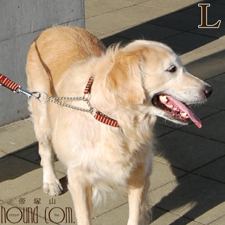 楽天市場 大型犬 ハーフチョーク Ashu ステップハーフチョークl 首輪 人気の赤 引っ張り防止のしつけに お揃いのリードあり 愛犬手作りご飯 ハウンドカム食堂