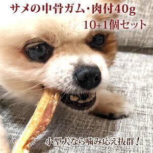 T̒KEt40g10+1܃Zbg@p@f^PA@K@̂@Y@CN@AucmL@@W[L[