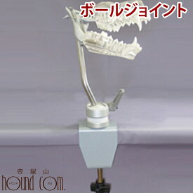 ボールジョイント　 犬の透明アゴ模型専用固定器具　帝塚山ハウンドカム