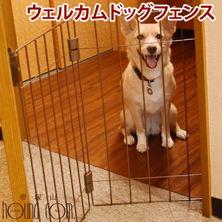 楽天市場 犬 ウェルカムドッグフェンス 玄関 脱走防止 愛犬が一緒にお出迎え 小型犬用 折りたためる 両面テープで取り付けができる 送料無料 愛犬 手作りご飯 ハウンドカム食堂