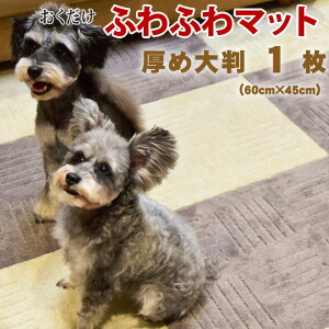 fo-00050 ӂӂ@^CJ[ybg@s^vX@60×45cm@1 t[O }bg 