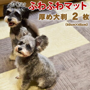 fo-00050 ӂӂ@^CJ[ybg@s^vX@60×45cm@2 t[O }bg 