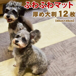 fo-00050 ӂӂ@^CJ[ybg@s^vX@60×45cm@12 t[O }bg 