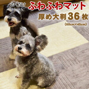 fo-00050 ӂӂ@^CJ[ybg@s^vX@60×45cm@36 t[O }bg 