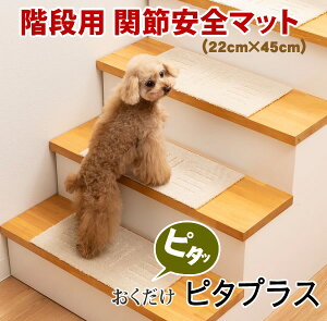 Kip@֐߈S}bg22cm×45cm@10mm@ׂ~ߕt@5