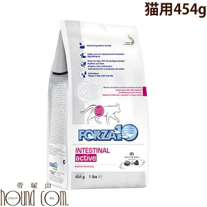 L FORZA10bCeXeBiANeBu 454g itHc@fBG`jÖ@H Lbgt[h ݒ  hCyY hCt[h ˂ tHc@ tHc@10z