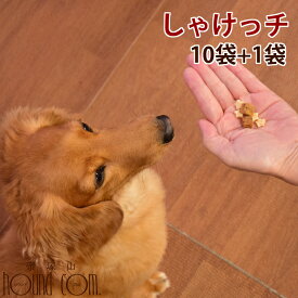 愛犬用おやつ　しゃけっチ　10袋+1袋セット　愛犬愛猫共用 簡単 おすすめ スイーツ おやつ トッピング 減塩チーズ使用　食いつき 良い