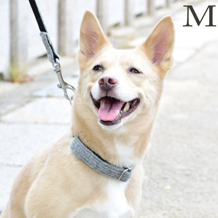 楽天市場 犬 首輪 おしゃれ ニットハーフチョーク Mサイズ 中型犬用 Ashu 帝塚山ハウンドカム 犬用首輪 ウール 秋冬 フォーマル チェーン 鉄 トレーニング 躾 ビーグル ボストンテリア 柴犬 愛犬手作りご飯 ハウンドカム食堂