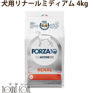 yN[|zzz FORZA10 Ö@Hbp i[ANeBu(tPA) 4kgi~fBA j