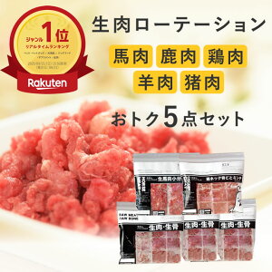 yN[|zzz[e[V5_Zbg[ȒPH]t[h n { r  G] `L H ͂炷ɏoHIX̐5lߍ킹