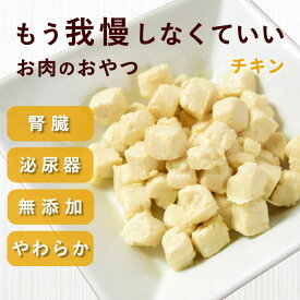 犬 おやつ 腎臓｜とっておきのひとくちテリーヌ チキン 100g 無添加 低リン 柔らかい ソフト 水分たっぷり フード トッピング 投薬 飲ませる 食いつき 偏食 食べムラ 食べない 子犬 3ヶ月 おやつ パピー 老犬 シニア 猫にも◎