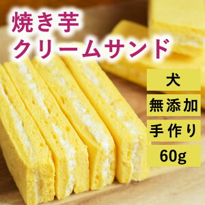    XC[c g͂邩 Ă N[Th 16 Y Y sgp XC[c ܂ q VjA V ^pN Ⴝς ჊ t tPA 