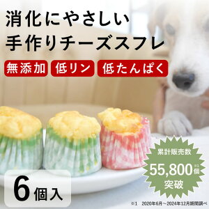 yN[|zzz tPA bH̎`[YXt 6 Y ჊ Ⴝς V 炩 ⏕ a LÕP[Lɂ