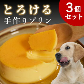 【割引クーポン配布中】犬 おやつ 低リン｜食堂の手作りプリン 3個入 腎臓 腎臓おやつ 低たんぱく 低脂肪 膵臓 無添加 砂糖不使用 3ヶ月 子犬 老犬 シニア犬 誕生日 記念日 なめらか食感 投薬のご褒美にも クリスマスケーキ クリスマス ディナー