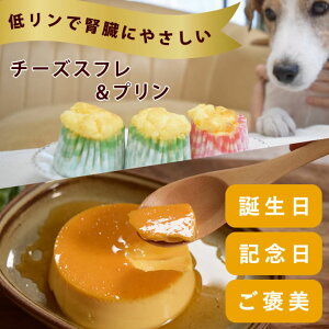 yN[|zzz tPA b`[YXt6v3Zbg t t Y ჊ Ⴝς sgp 3 q V VjA 炩 