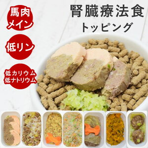 y11OFFN[|P5{zpH@n̐tɗD჊7HZbgynEhJHz p y hbOt[h ჊ H  H n tPA gbsO Ö@H 