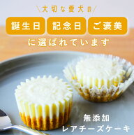 犬 おやつ 腎臓｜手作りレアチーズケーキ 6個入 無添加 犬用 誕生日ケーキ シニア犬 腎臓 低リン 低たん…