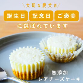 犬 おやつ 腎臓｜手作りレアチーズケーキ 6個入 無添加 犬用 誕生日ケーキ シニア犬 腎臓 低リン 低たんぱく グルテンフリー 小麦・卵・大豆不使用 子犬 老犬 薬 飲ませる グッズ アイテム 投薬