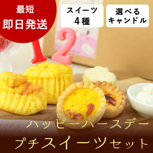  a P[Lbnbs[o[Xf[v`XC[cZbg iOsj̒aP[L av[g ̎qLO jObY ^ V VjA 