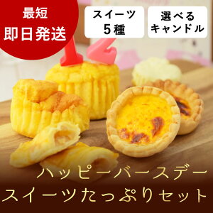  a P[Lbnbs[o[Xf[XC[cՂZbg iOsj̒aP[L av[g ̎qLO jObY  ^ V VjA 