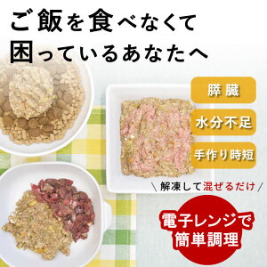 yP2{N[|zzz 育сb𑫂h{oX͂ hbOt[h EFbg t[h HׂȂ D H׃ gbsO H  V VjA ^