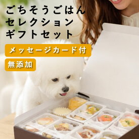 犬用 ソーシャルギフト｜ごちそうごはんセレクション ギフトセット（9種）【冷凍便】無添加 ギフト プレゼント おやつ 詰め合わせ 高級 贈り物 お祝い 誕生日 バースデー 記念日 お中元 お歳暮 バレンタイン クリスマス 可愛い ラッピング