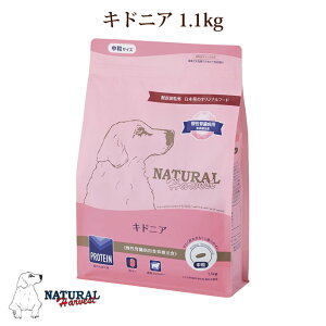 yN[|zzzi`n[xXg LhjA@1[1.1kg]@NEWpbP[W hbOt[h t  ͂ ̉a ʔ yV@ˎRnEhJ