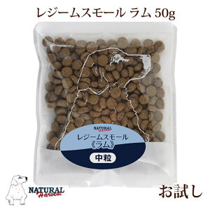 i`n[xXg W[ X[  50g ܁@NEWpbP[W@ᎉb@J[@_CGbg