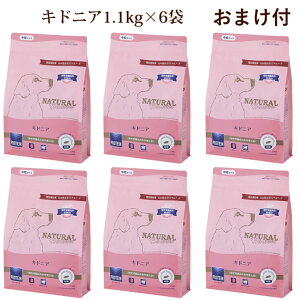 yN[|zzzi`n[xXg LhjA@1.1kg×6܃Zbg@NEWpbP[W hbOt[h t  ͂ ̉a ʔ yV@ˎRnEhJ