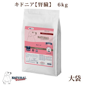 yN[|zzzi`n[xXg LhjA@6kg܁@NEWpbP[W hbOt[h t  ͂ ̉a ʔ yV@ˎRnEhJ