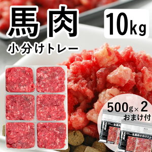 yN[|zzz n  10kg g[ hbOt[h hCt[h  gbsO ֗   g[ hbOt[h J[  p n 育  H  
