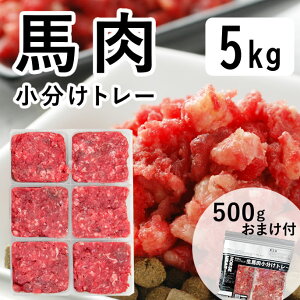 yN[|zzz n  5kg g[ hbOt[h hCt[h  gbsO ֗   g[ hbOt[h J[  p n 育  H  V