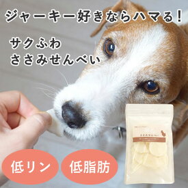 【P2倍＆割引クーポン配布中】犬 猫 おやつ ささみせんべい 40g 犬 おやつ 無添加 国産 ささみ ササミ 鶏肉 低脂肪 高齢犬 柔らかい オヤツ シニア パピー 手作り 安全 シニア犬のおやつ