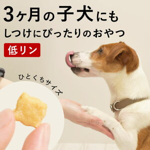 犬用おやつ ちびっこみるくパイ 60g 無添加 ドッグフード 3ヶ月 子犬 おやつ 低リン で 腎臓 に優しい 小麦粉不使用 グルテンフリー 栄養補給 ミルク きなこ お腹に優しい 小さい クッキー ビ