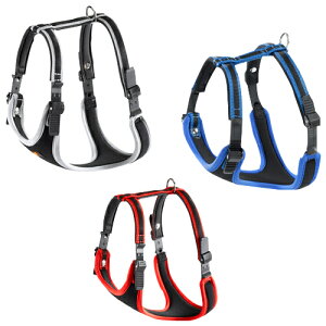 yN[|zzz  GSRtH[g P M n[lX AbV m̏ォ