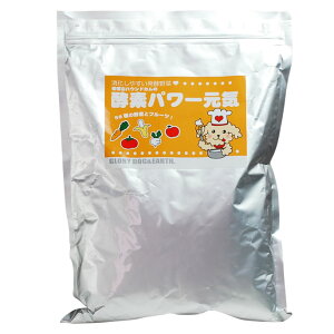  yf ̗͂ y   yf p[C 1kg hbOt[h 育͂   H ჊   ͂ gbsO ӂ肩 Y yHi _CGbg t X  