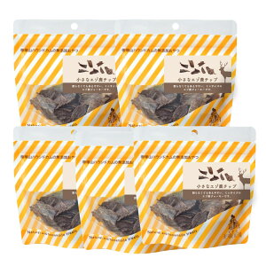 p ȃG]`bv 40g  L  Y Y  WrG W[L[   g[jO ^ wV[ J ̂ XibN َq  i` kC